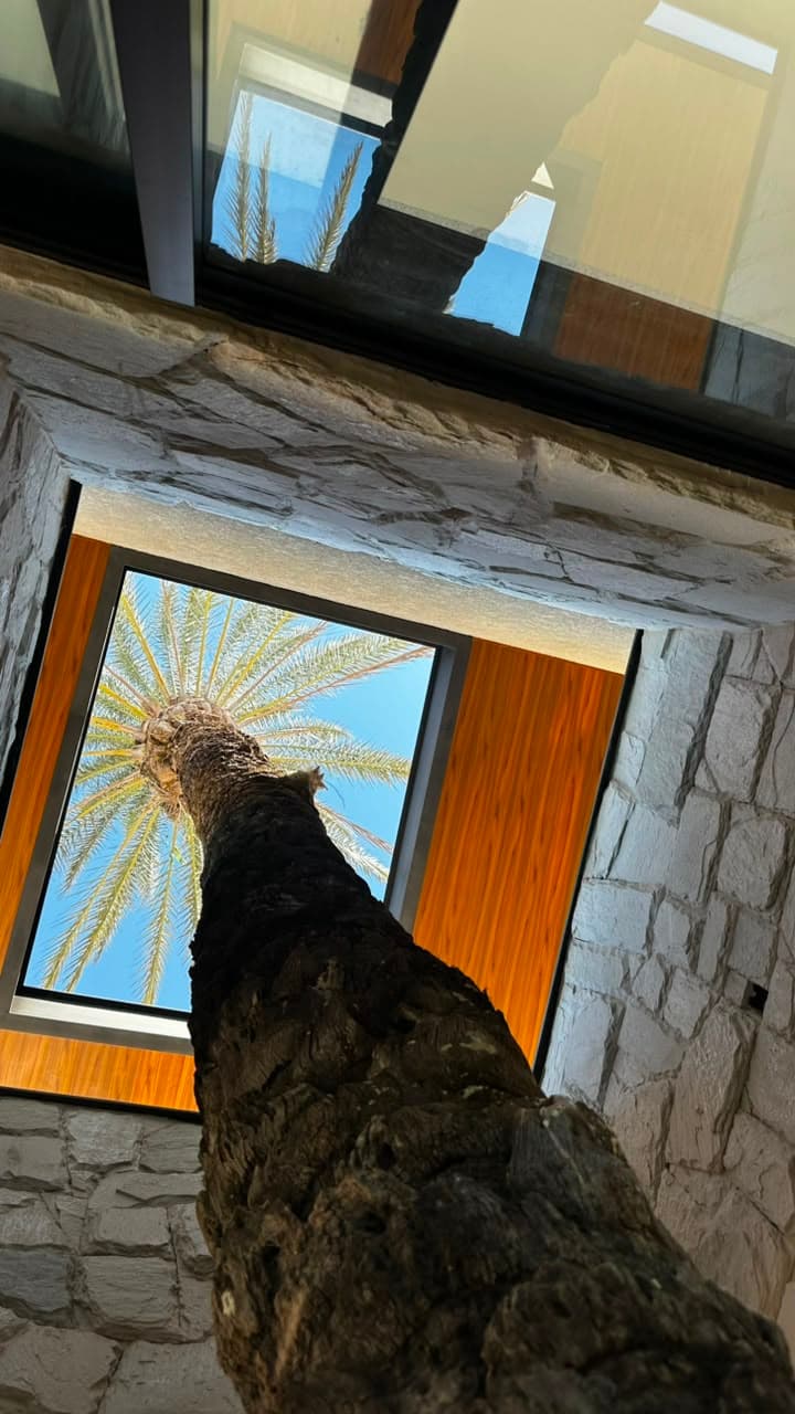 Portal do Sol Green - Exclusividade e Sofisticação - sem vizinhos de frente e nem de fundo