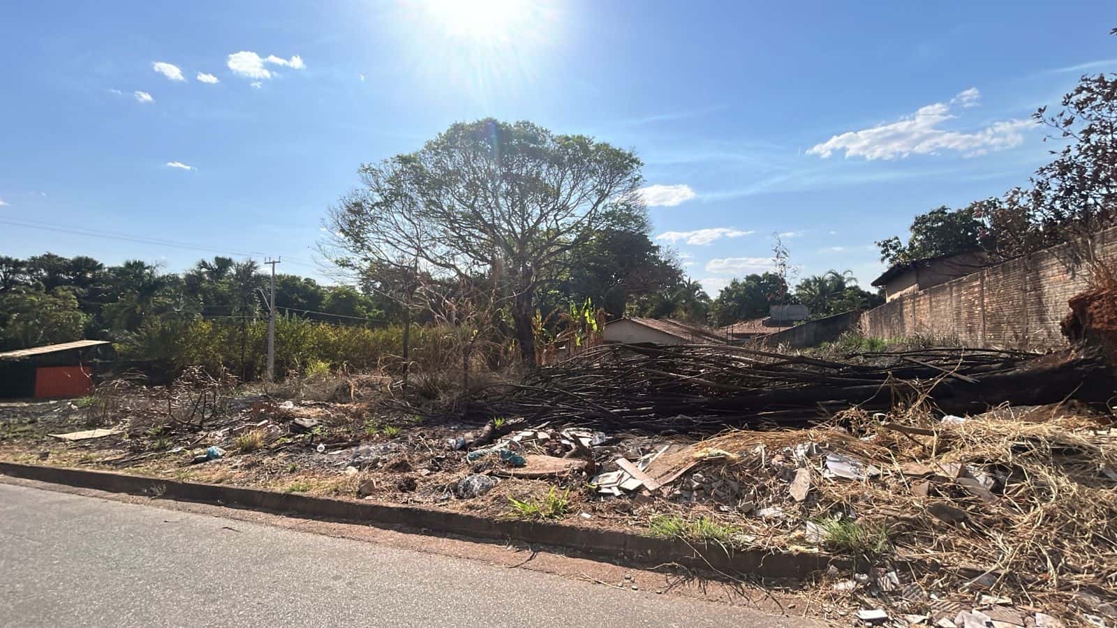 Lote Incrível no Jardim Botânico