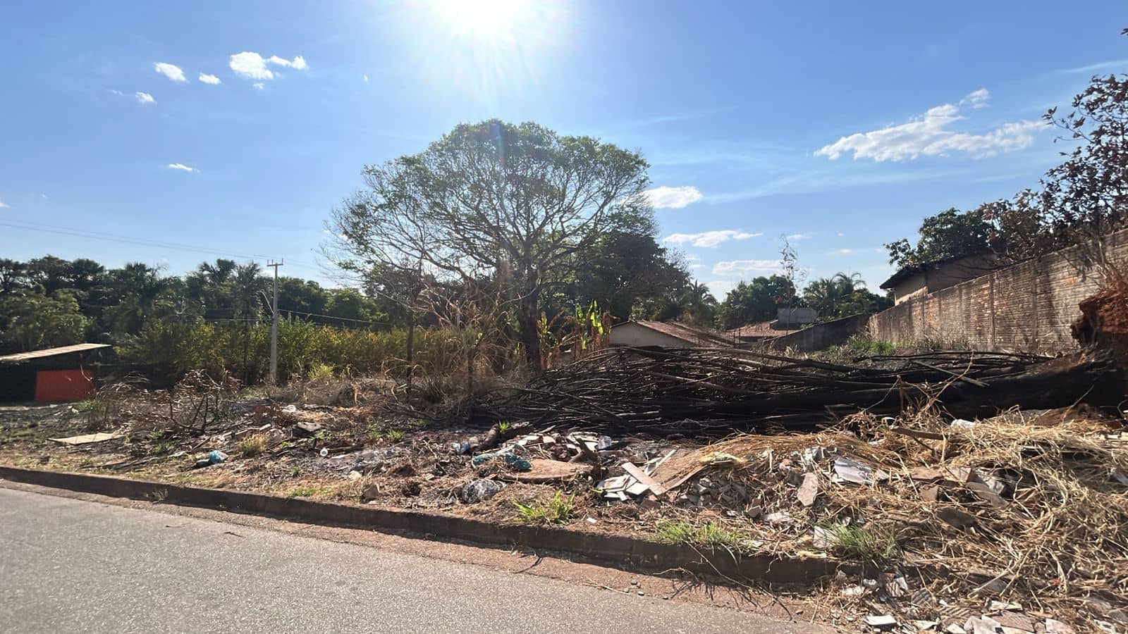 Lote Incrível no Jardim Botânico