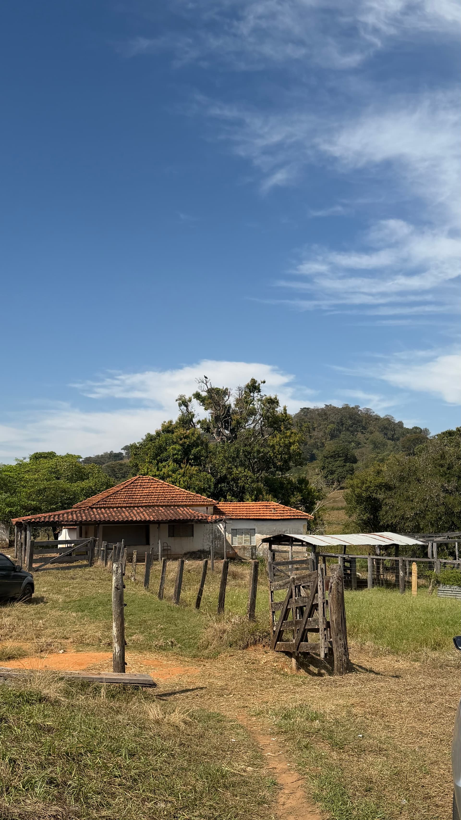 Fazenda 16 alqueires na GO-060 saída para Goiânia