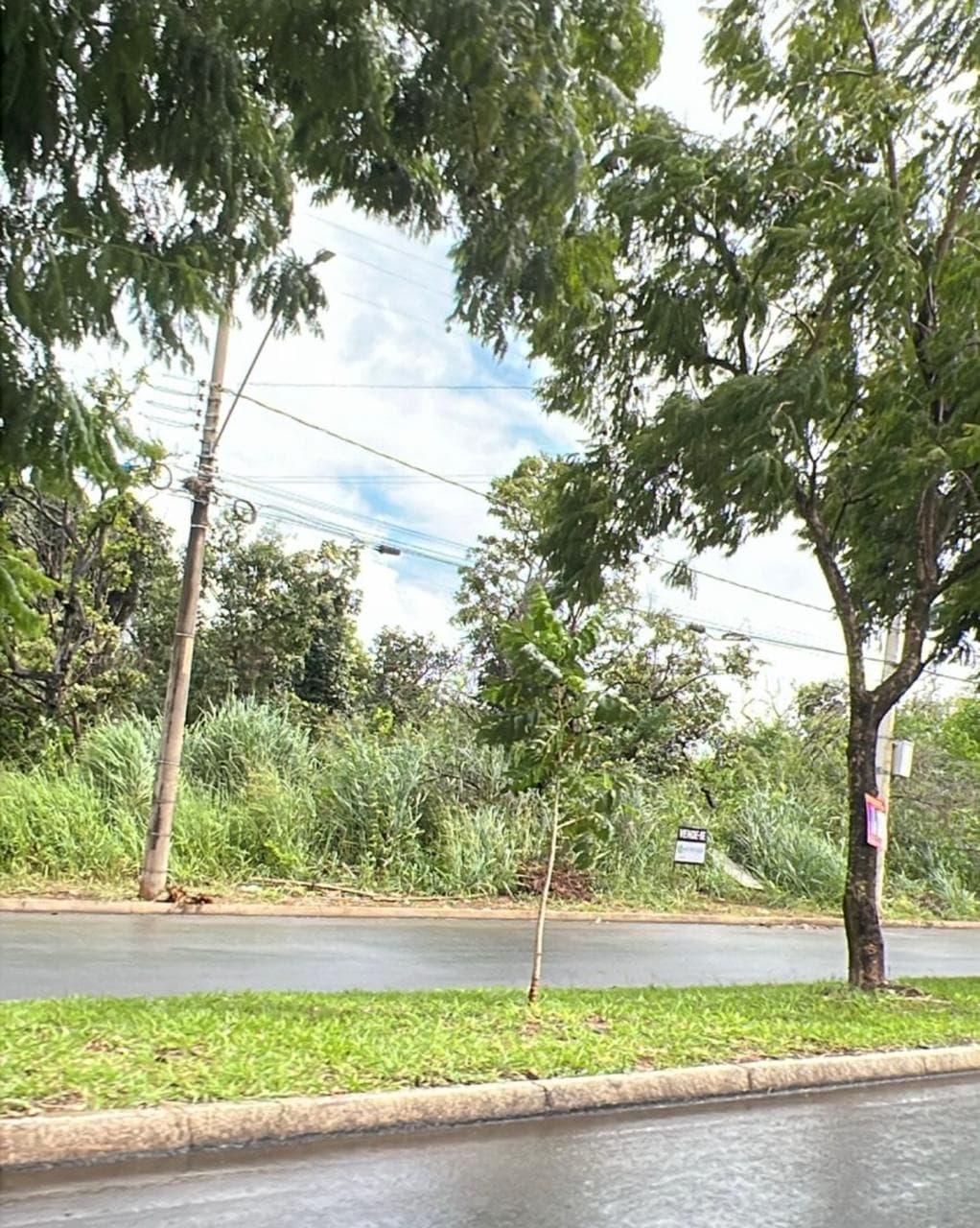 Lote no Buriti Sereno