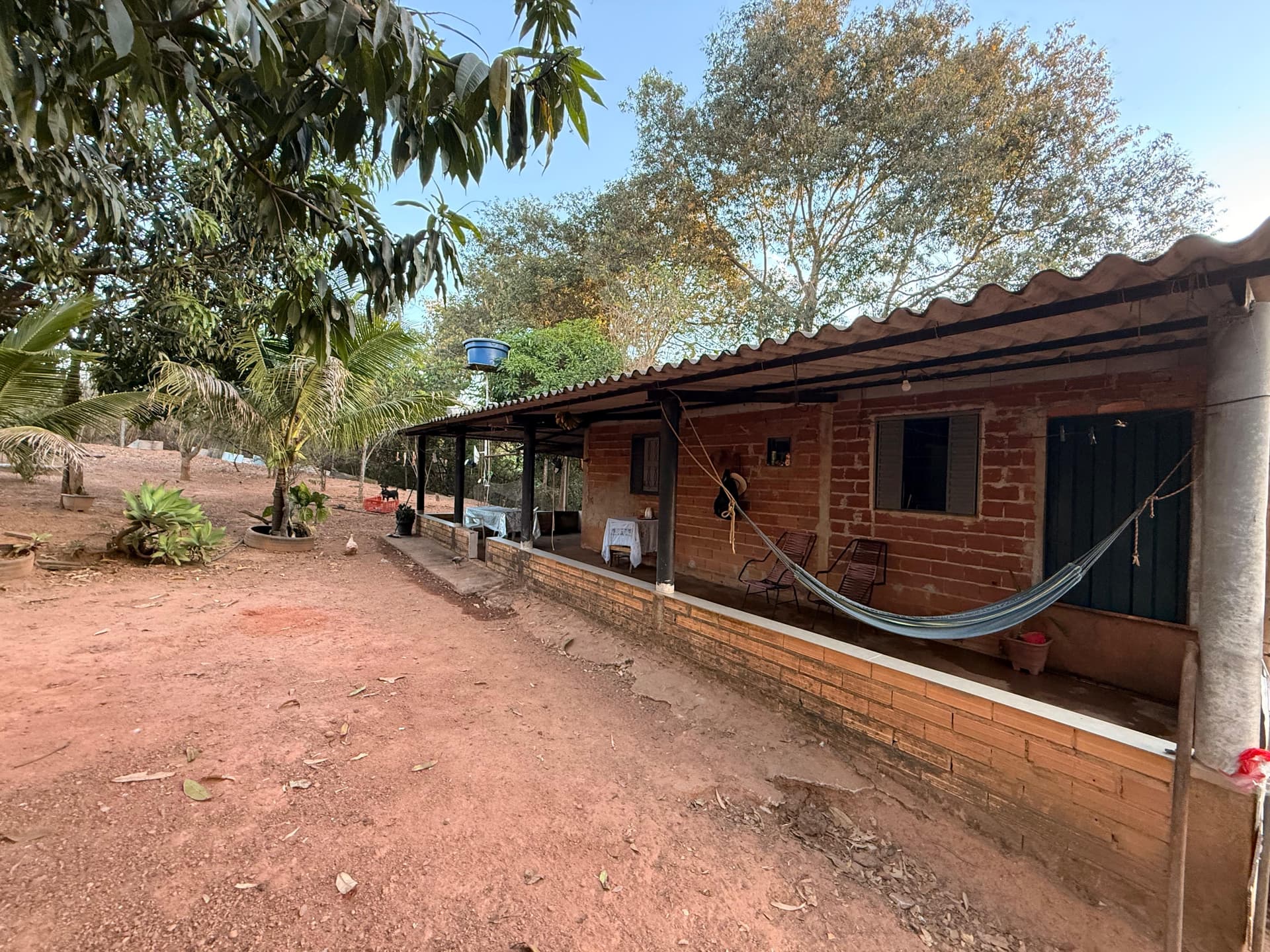 Fazenda Felicidade – BR-153 | 60 km de Goiânia