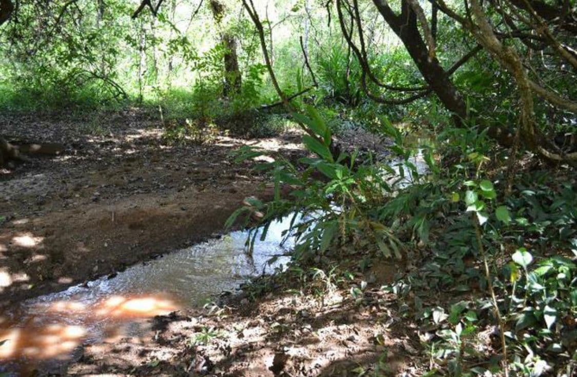 Fazenda Cachoeira no Município de Petrolina de Góias