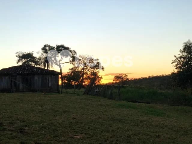 Fazenda em Pilar de Goiás | 32 Alqueires | Abundante em Água e Infraestrutura completa