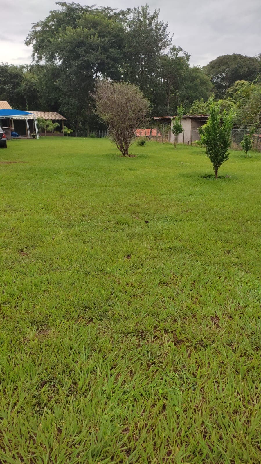 Chácara em Edealina