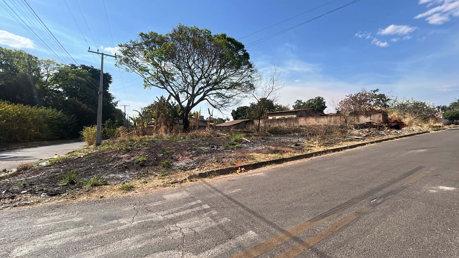 Lote Incrível no Jardim Botânico