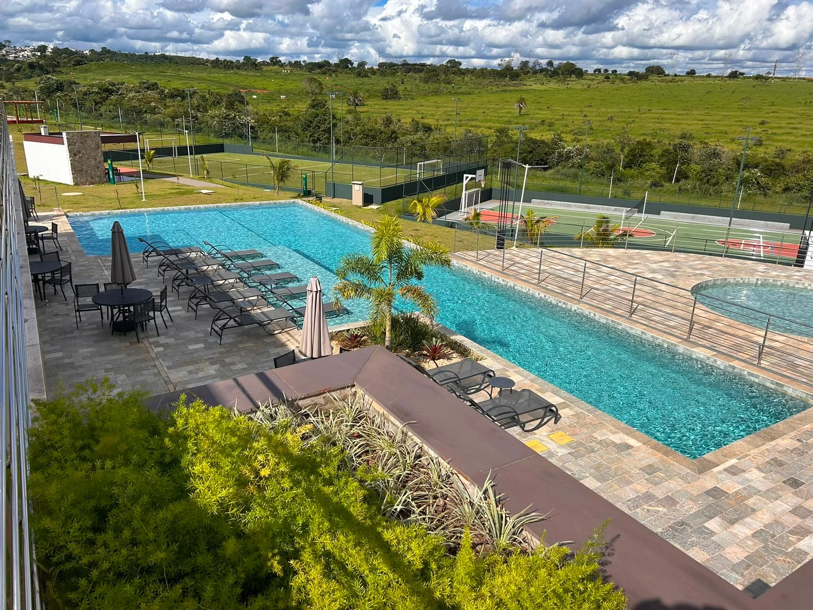 LOTE VINHAS FLAMBOYANT
