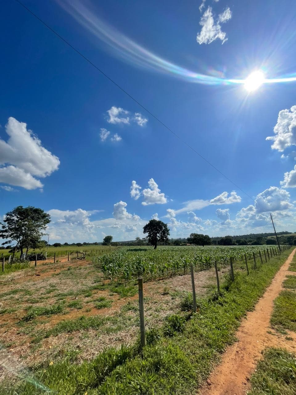 CHÁCARA EM BELA VISTA