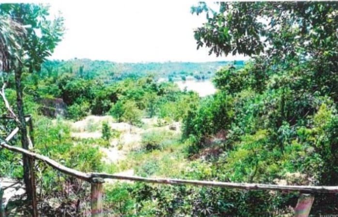 Mineradora De Diamante
