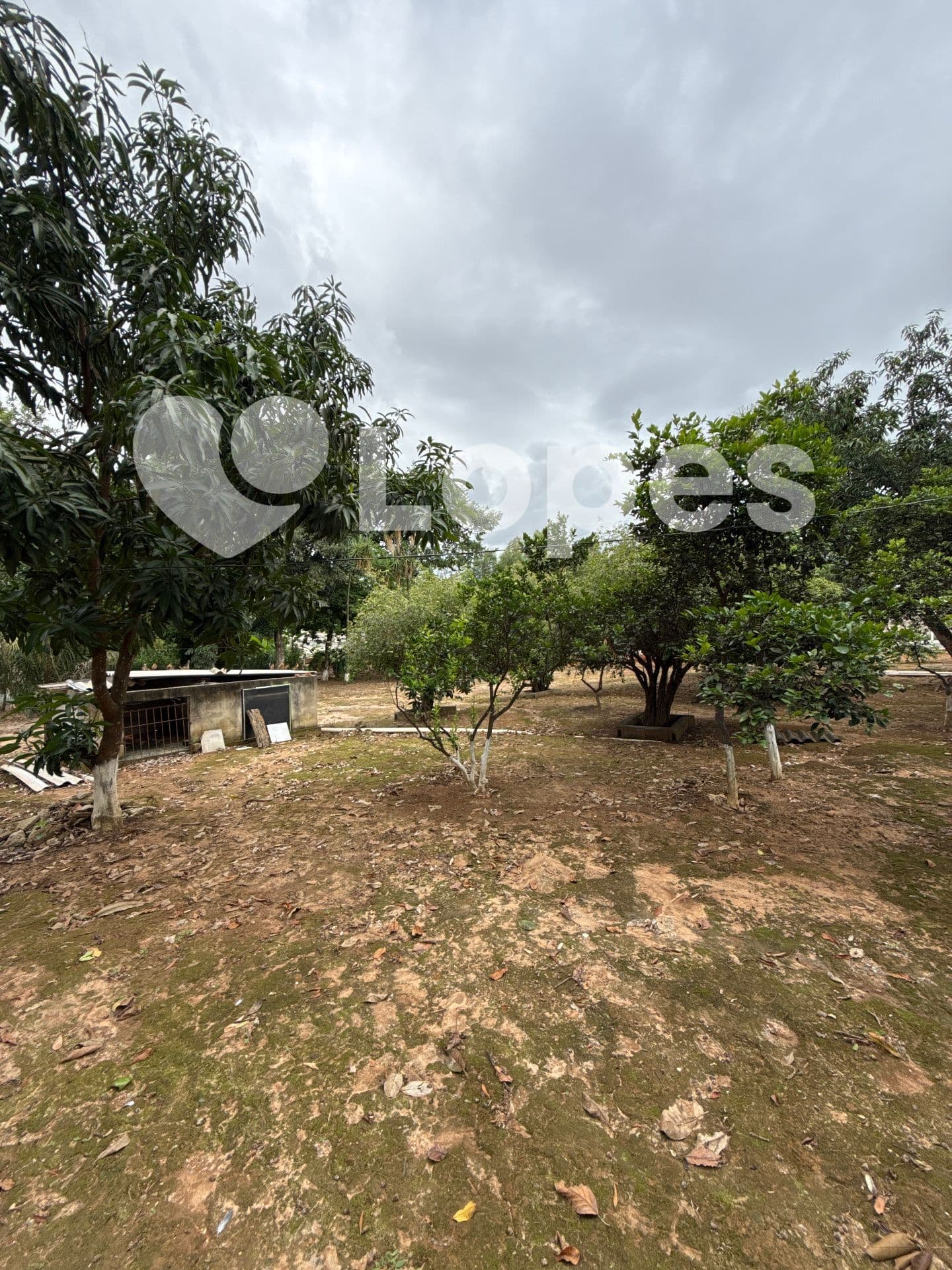 Casa 3 Quartos à Venda no Aeroporto Sul – Aparecida de Goiânia | Próx. ao Buriti Shopping
