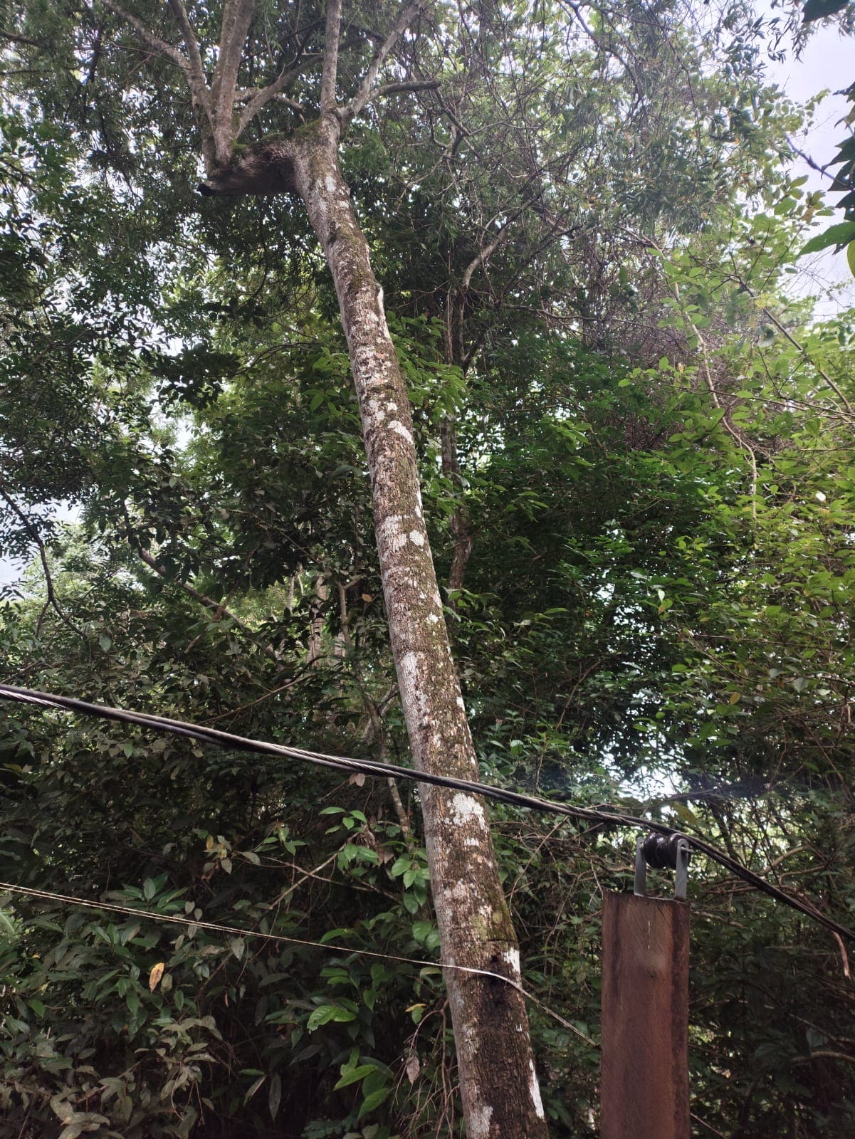 chácara à venda no município de Bonfinópolis