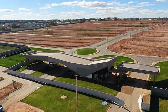 LOTE 260 VINHAS FLAMBOYANT