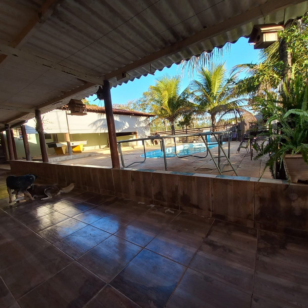 Chácara de 21.000 m² na GO-020, em Bela Vista de Goiás | 2 Casas, Piscina, Campo e Área Rural Completa