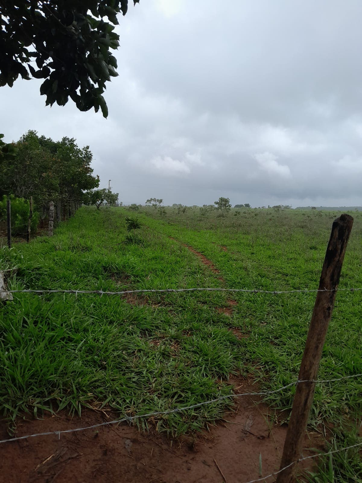CHACARA BR414 COCALZINHO DE GOIÁS