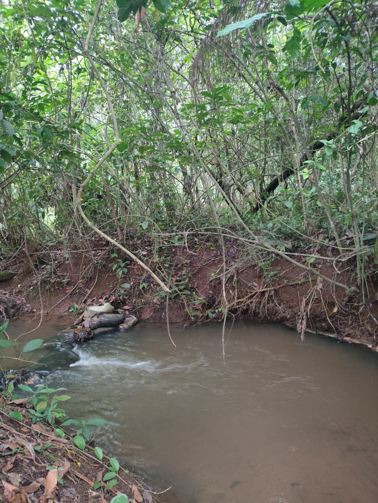 chácara à venda no município de Bonfinópolis