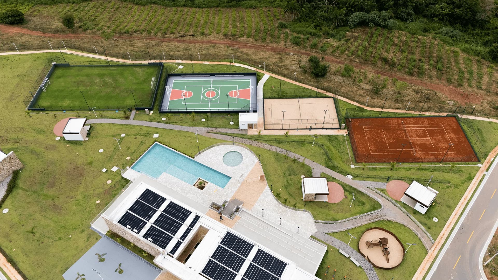 LOTE 260 VINHAS FLAMBOYANT