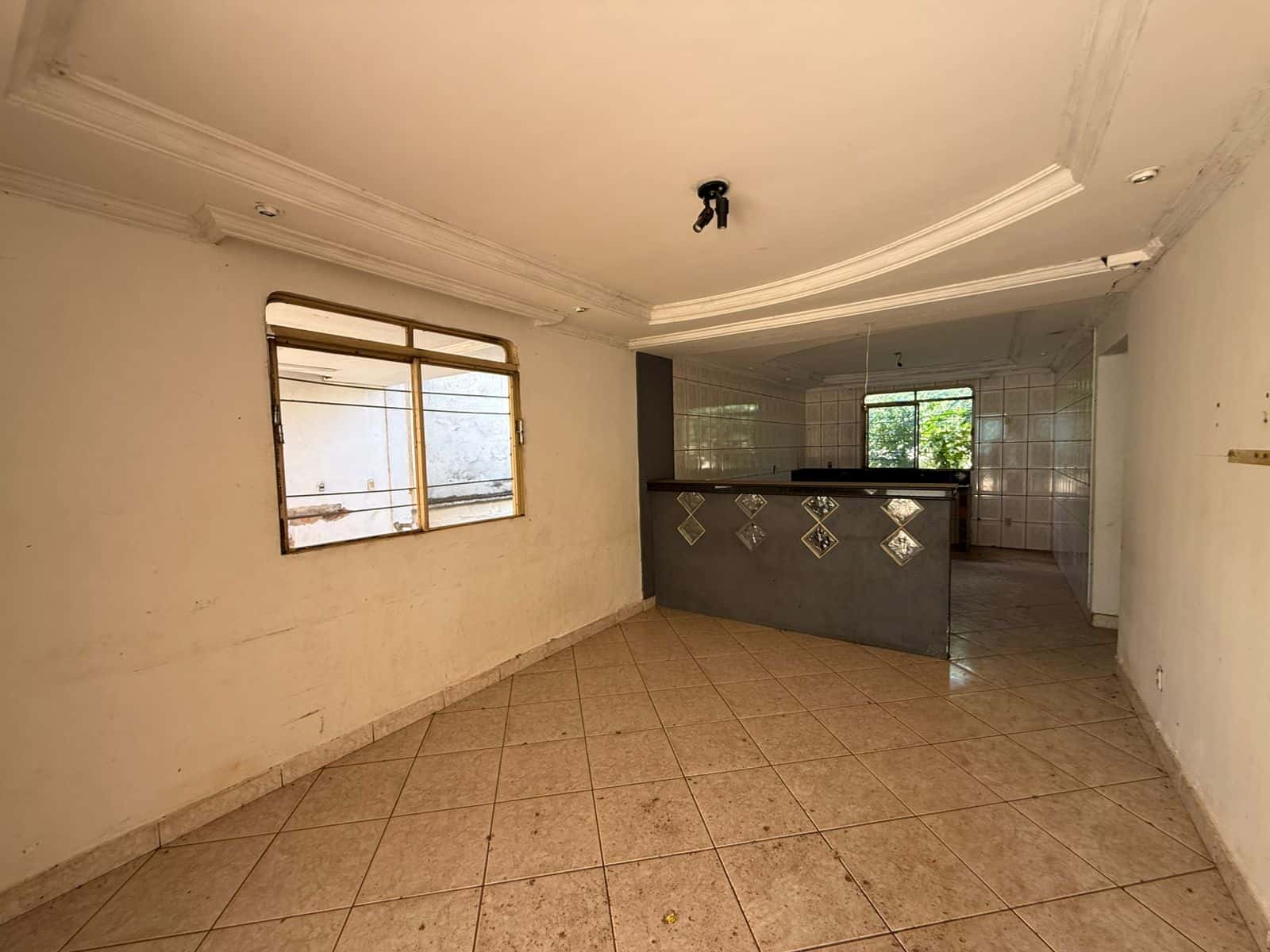 TERRENO COMERCIAL AVENIDA GO 040
