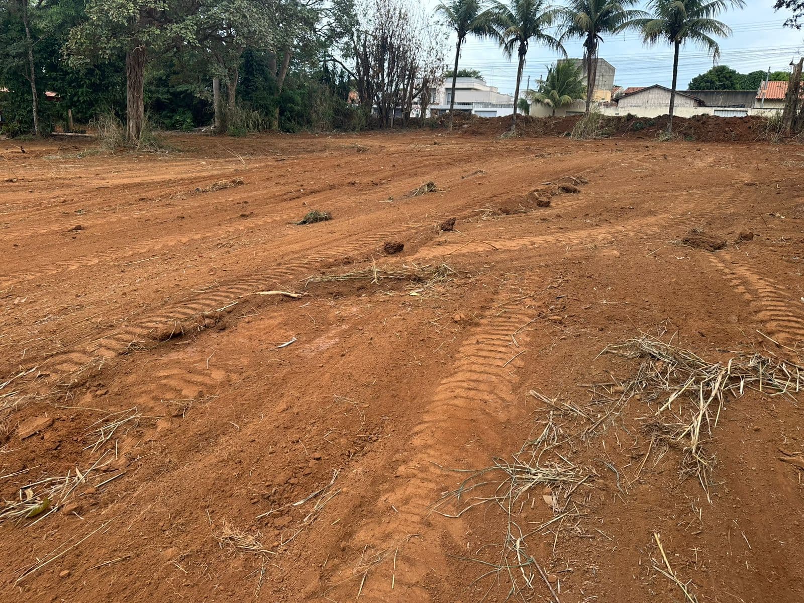 Bairro Cardoso Chácara/Lote à Venda – 5.000 m² | Oportunidade Única de Investimento