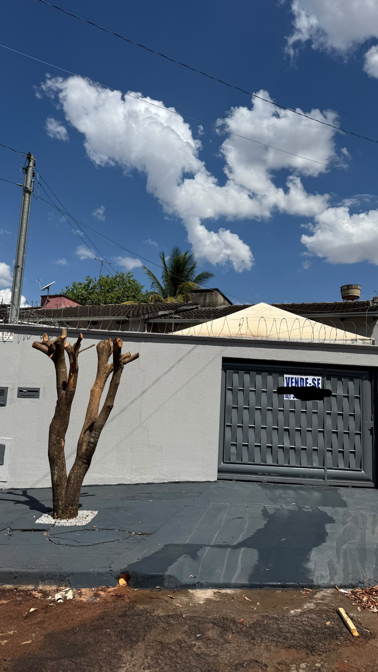 Caso Setor Vila Cristina