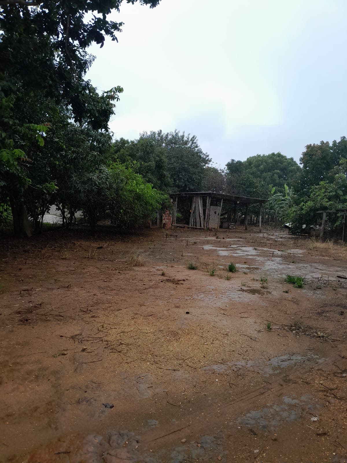 CHACARA BR414 COCALZINHO DE GOIÁS