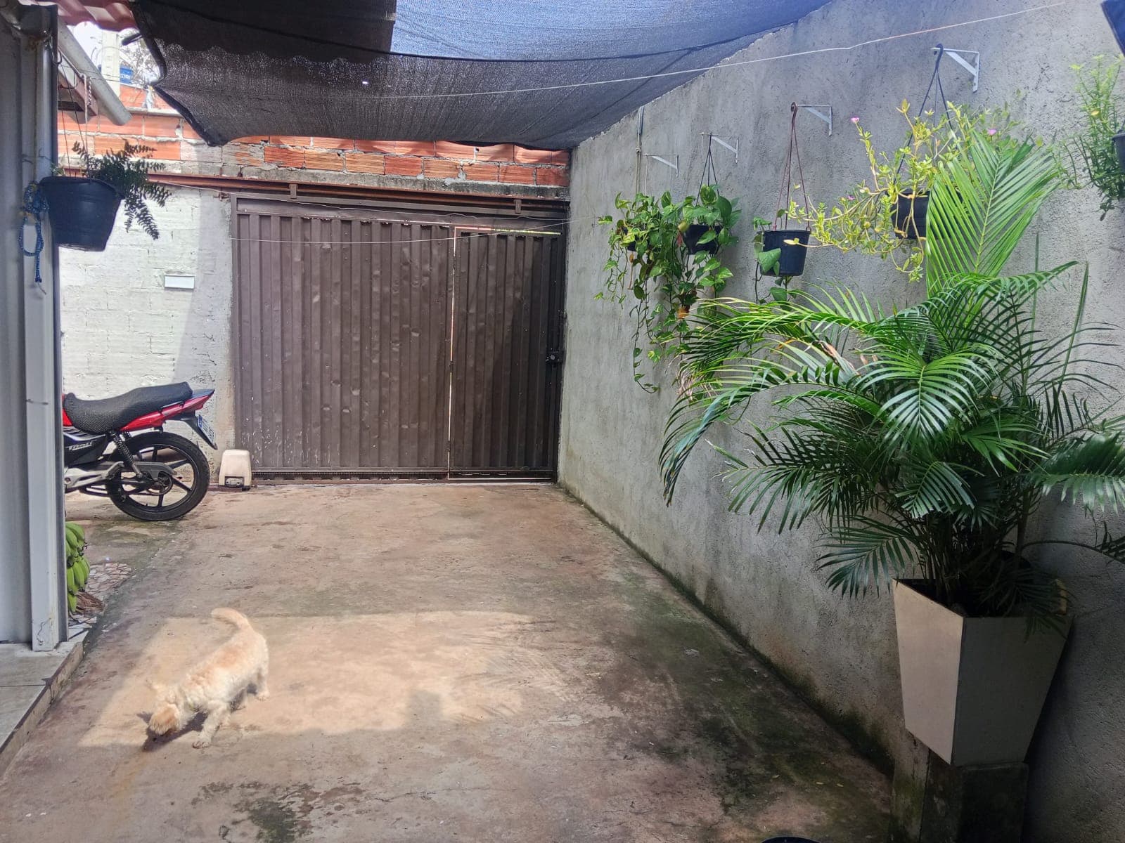 Casa térrea 3Q sendo 1S