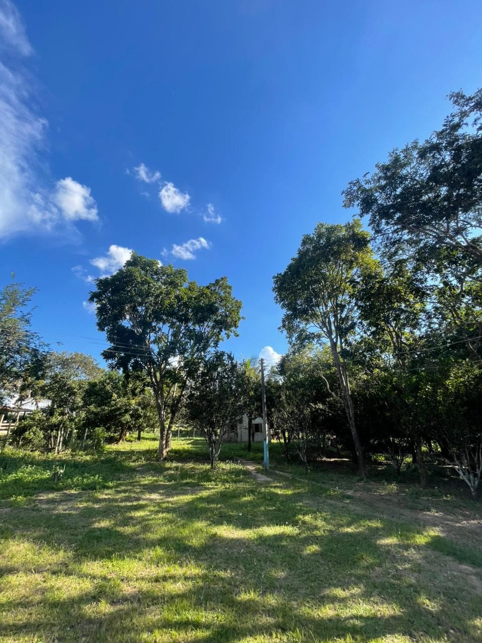 CHÁCARA EM BELA VISTA