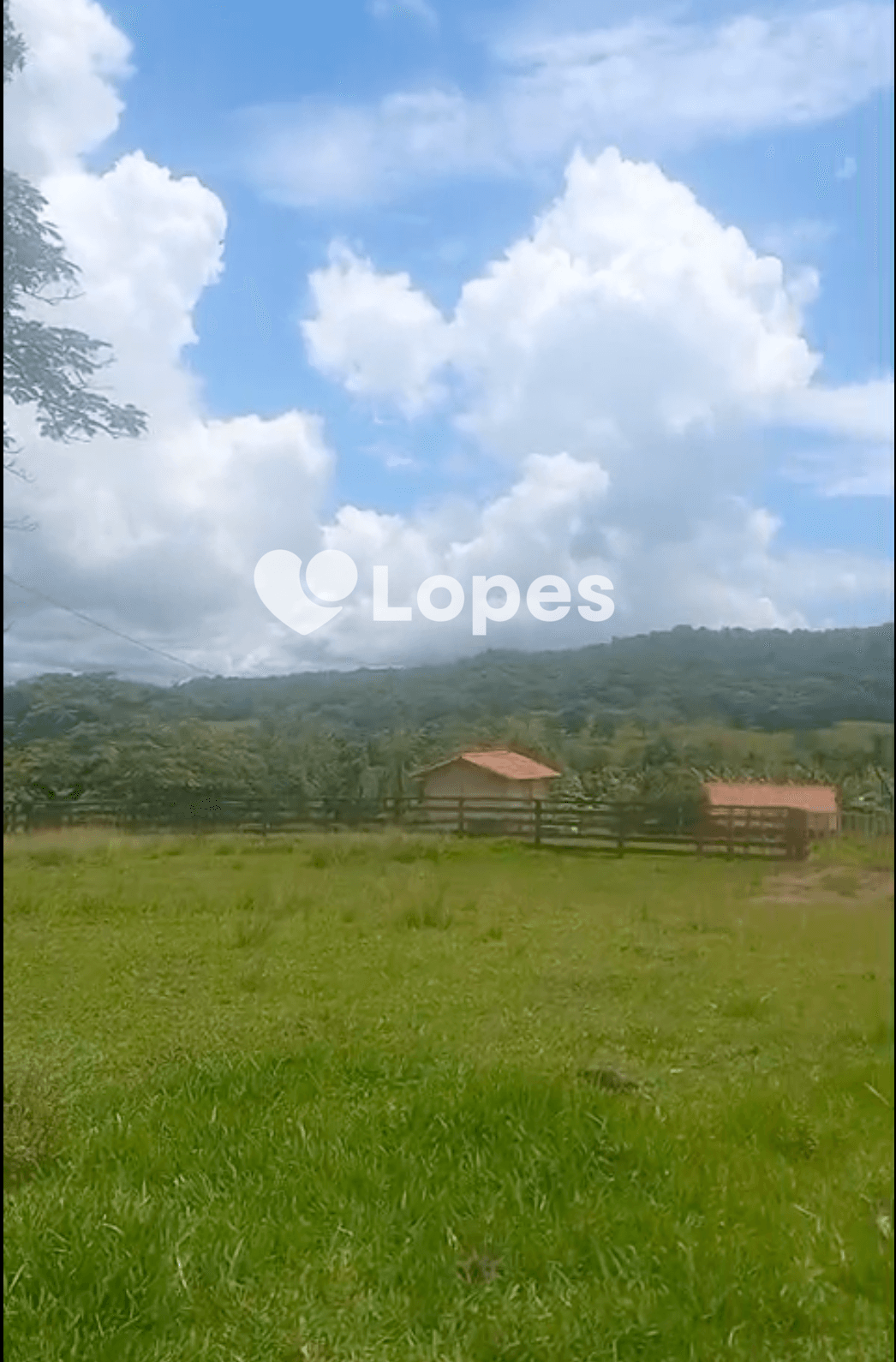 Fazenda Excepcional à Venda em Campina Verde/MG | 100 Alqueires |8 Nascentes |Estrutura Completa