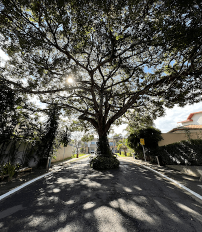 Lote Exclusivo no Condomínio do Lago | Vista Definitiva para o Lago - 814,40m²