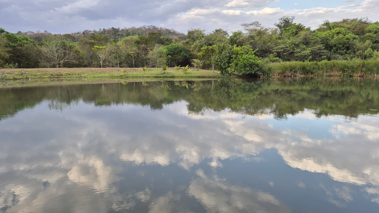 Lote de 300 m² no Jardins Porto – Vista privilegiada e lazer completo