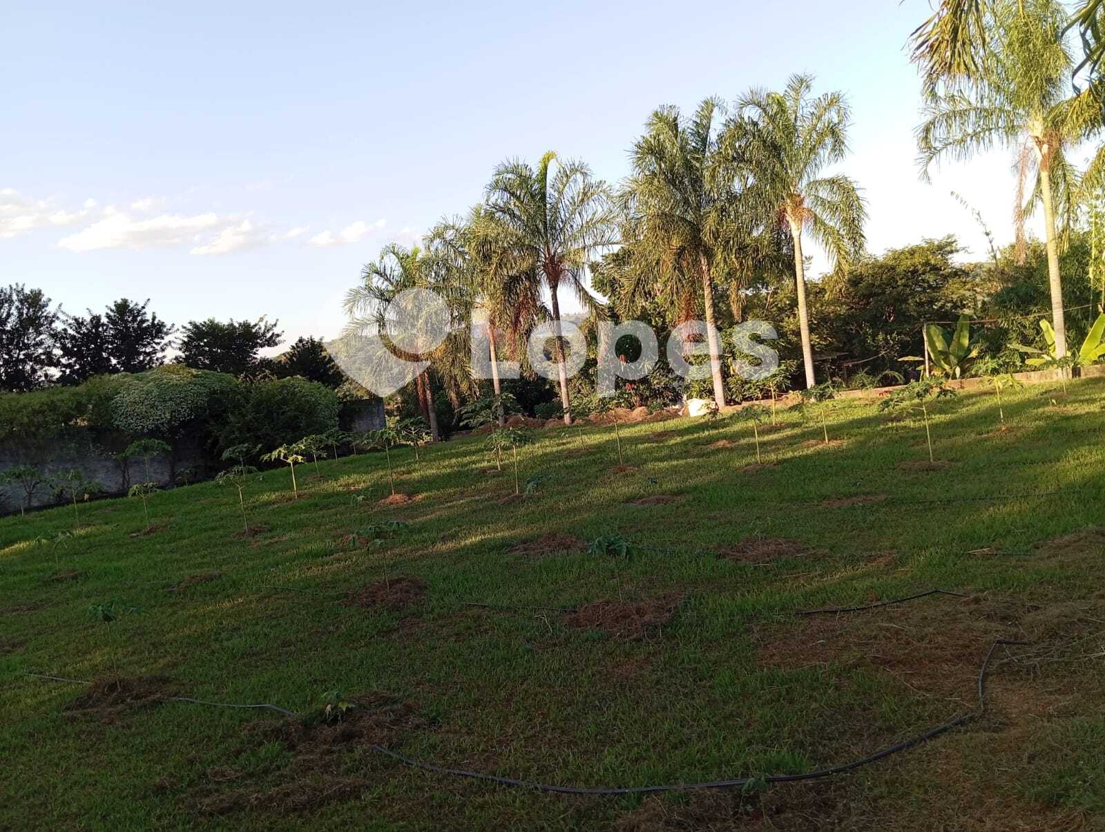 Chácara em Terezópolis | 2 Hectares | Infraestrutura completa