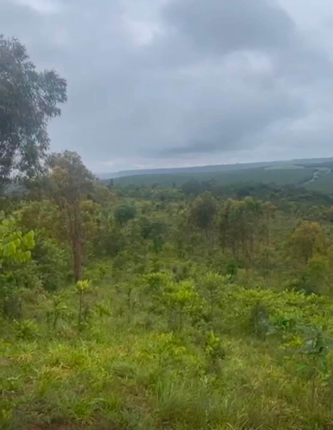 TERRENO PARA FAZENDA/ SÍTIO 50 Hectares