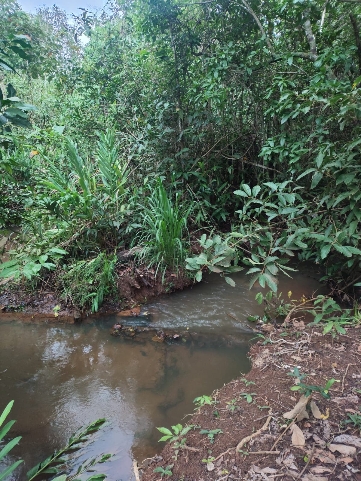 chácara à venda no município de Bonfinópolis
