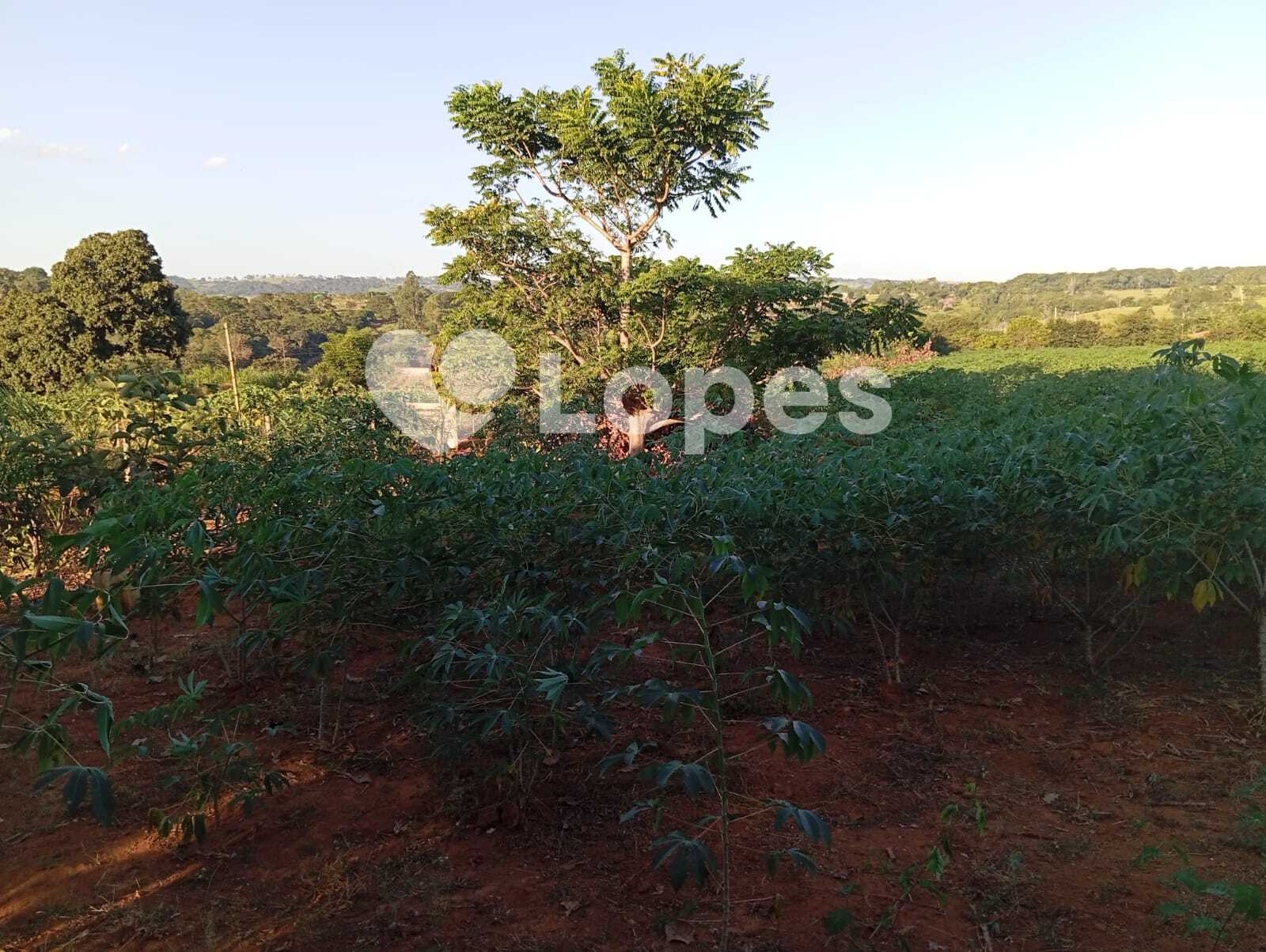 Chácara em Terezópolis | 2 Hectares | Infraestrutura completa
