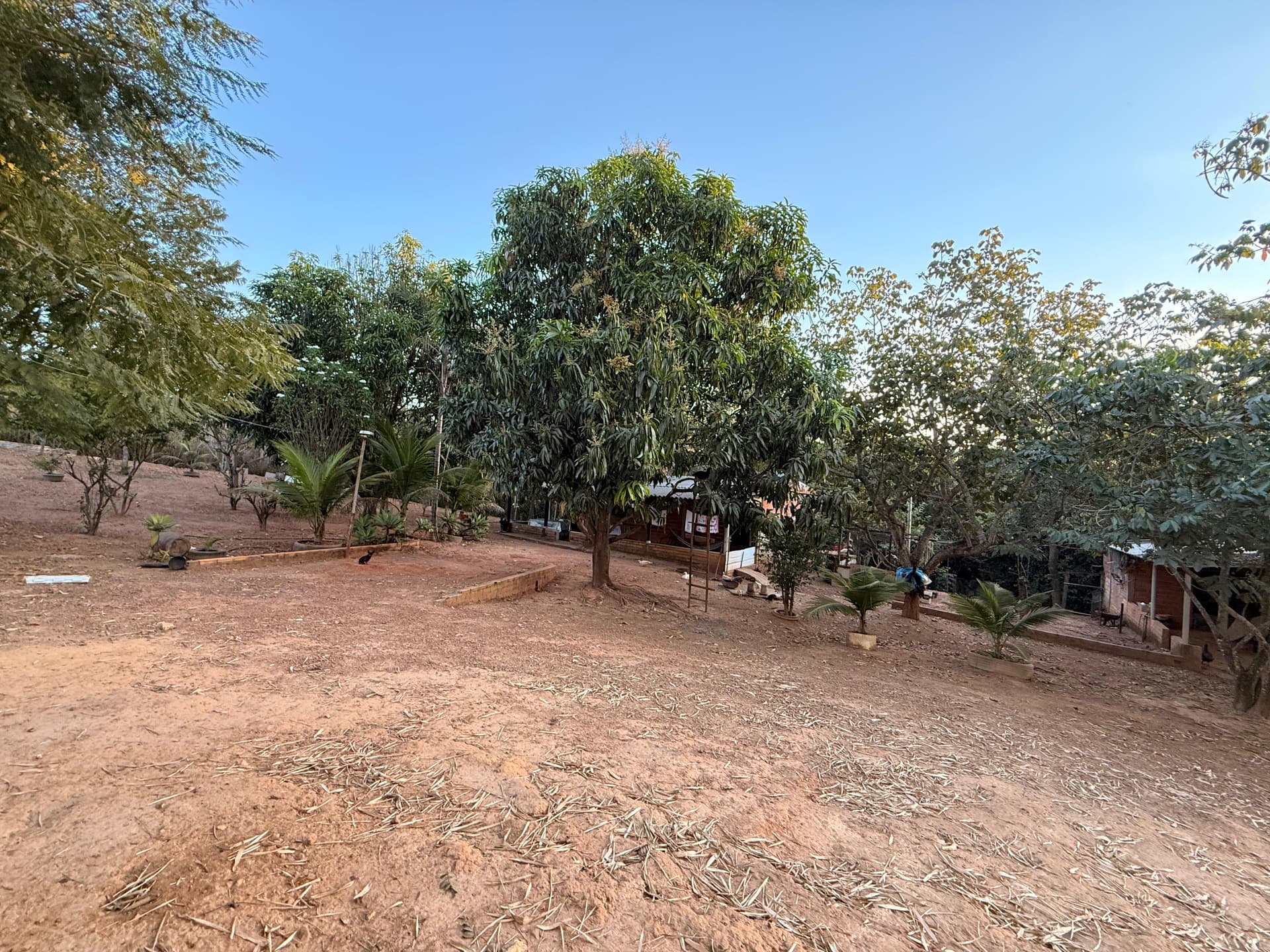 Fazenda Felicidade – BR-153 | 60 km de Goiânia